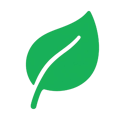 Plant-removebg-preview
