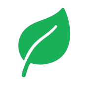 Plant-removebg-preview